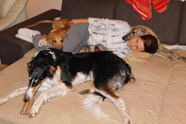 Lucky Penny Aranyifjú - magyar agár |Family idyll, half the family How many of us are in the picture? The answer: 4+1
