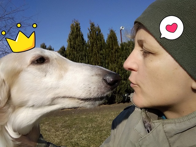 Go Go Bolshoi Jesse James - borzoi, magyar agár | Happy birthday my little boy Jesse! I am grateful for every minute I can spend with you.