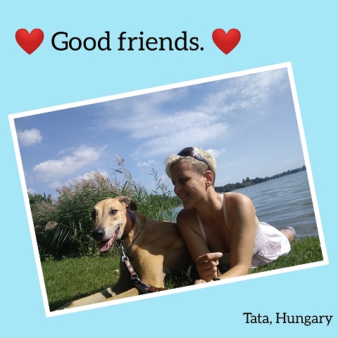 Lucky Penny Aranyifjú - magyar agár | It’s good to be with you, have a delicious lunch in a nice place.