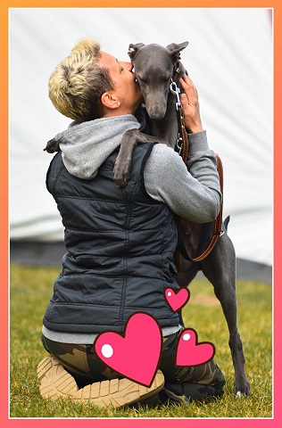 Cserihegyi Hasskona Jarvis - angol agár | Love is in the air.