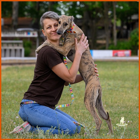 Olajos-réti Győzős Gara - Hug-hug. Olajos-réti Győzős Gara - magyar agár | Hug-hug.